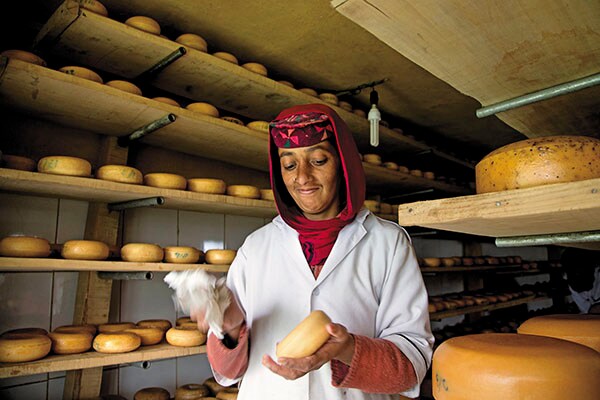 mg_84239_waxing_cheese_280x210.jpg mg_84239_waxing_cheese_280x210.jpg