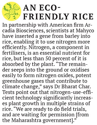 mg_84449_eco_freindly_rice_280x210.jpg mg_84449_eco_freindly_rice_280x210.jpg