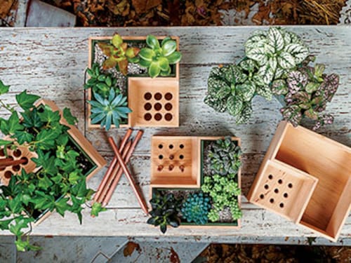 Forbes India Forbes India Image