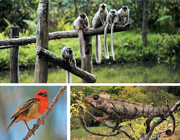 mg_80371_wildlife_280x210.jpg mg_80371_wildlife_280x210.jpg