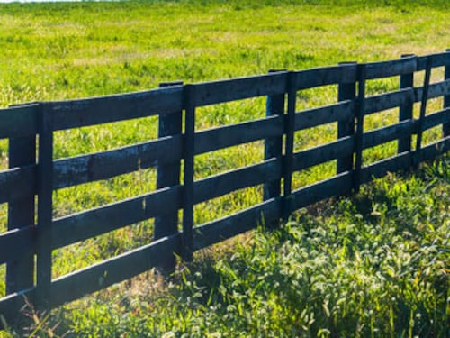 Forbes India Forbes India Image