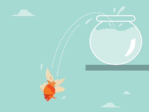 Forbes India Forbes India Image