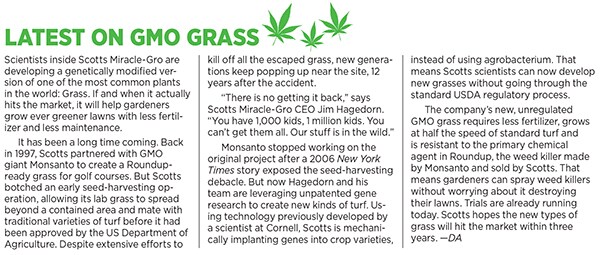 mg_88193_gro_grass_280x210.jpg mg_88193_gro_grass_280x210.jpg