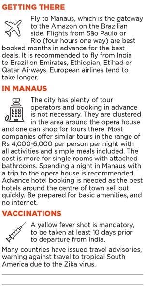 mg_87225_amazon_280x210.jpg mg_87225_amazon_280x210.jpg