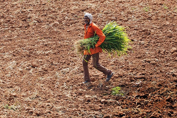 mg_85881_farmer_280x210.jpg mg_85881_farmer_280x210.jpg