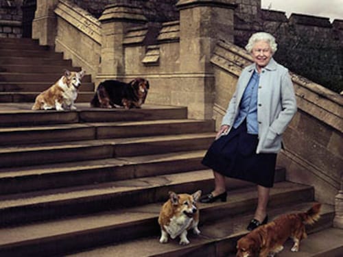 Forbes India Forbes India Image