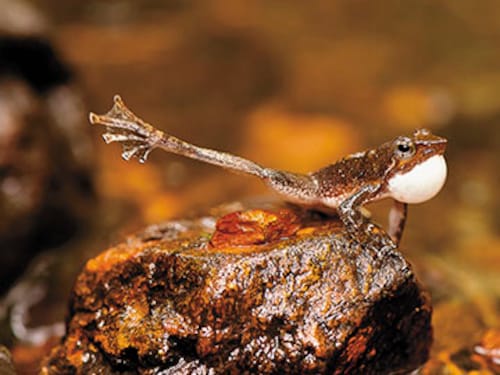 Forbes India Forbes India Image