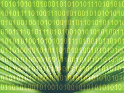 Forbes India Forbes India Image