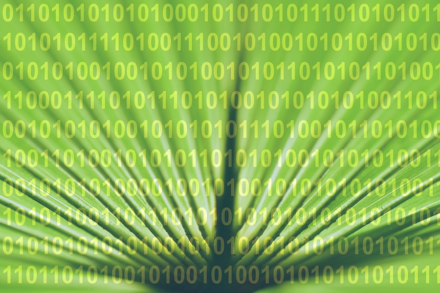 mg_98759_digitisation_280x210.jpg mg_98759_digitisation_280x210.jpg