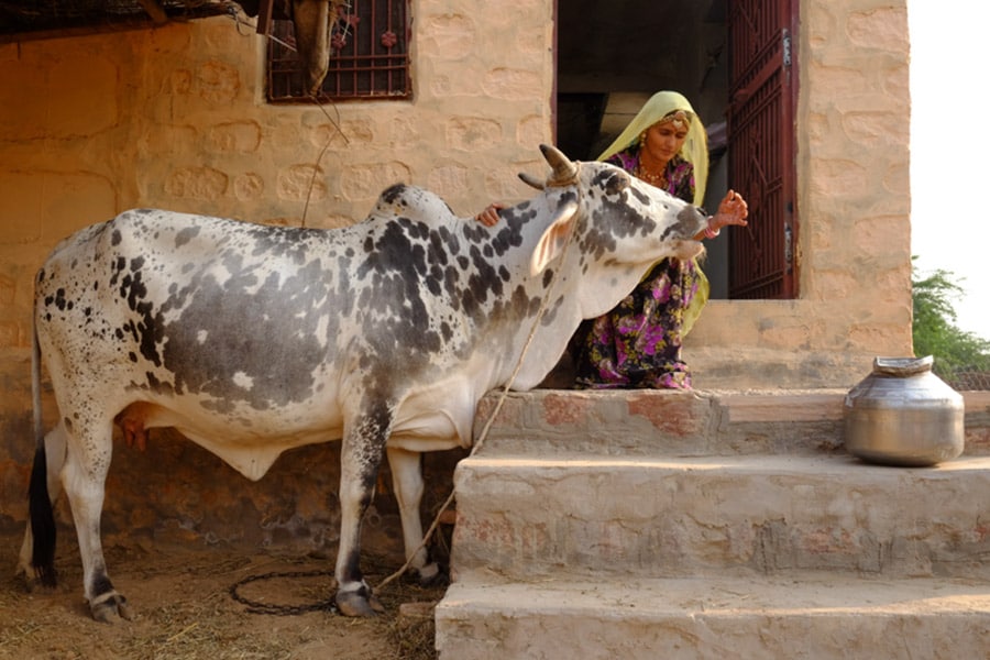 g_101469_icici1_bg_280x210.jpg g_101469_icici1_bg_280x210.jpg