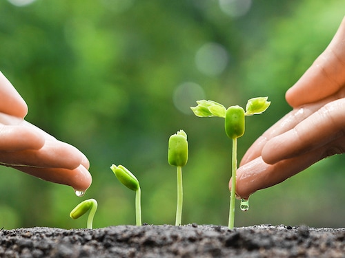 Forbes India Forbes India Image