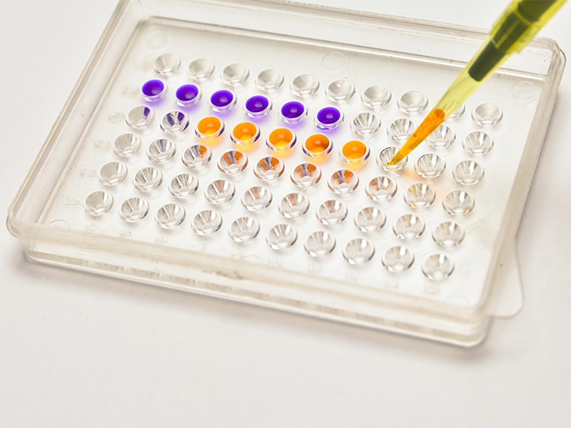 mg_91783_shutterstock_549302434bg_280x210.jpg mg_91783_shutterstock_549302434bg_280x210.jpg