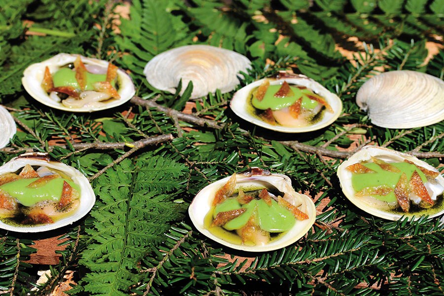 mg_92027_clams_in_hemlock_280x210.jpg mg_92027_clams_in_hemlock_280x210.jpg