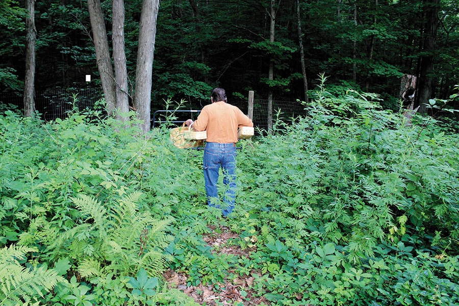 mg_92031_foraging_280x210.jpg mg_92031_foraging_280x210.jpg