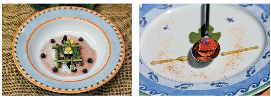 mg_92043_native_harvest_dessert_280x210.jpg mg_92043_native_harvest_dessert_280x210.jpg