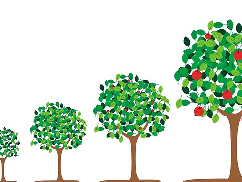 Forbes India Forbes India Image