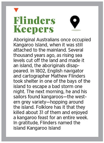 g_111823_kangaruisland_280x210.jpg g_111823_kangaruisland_280x210.jpg