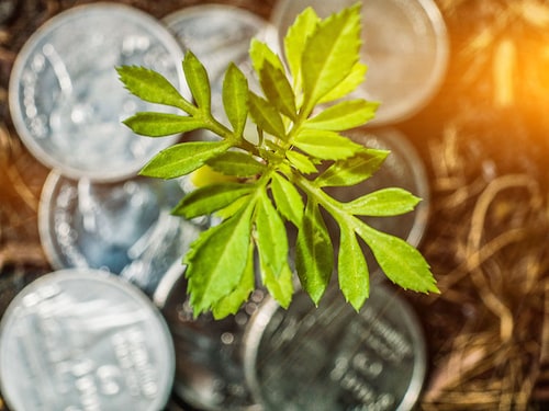 Forbes India Forbes India Image