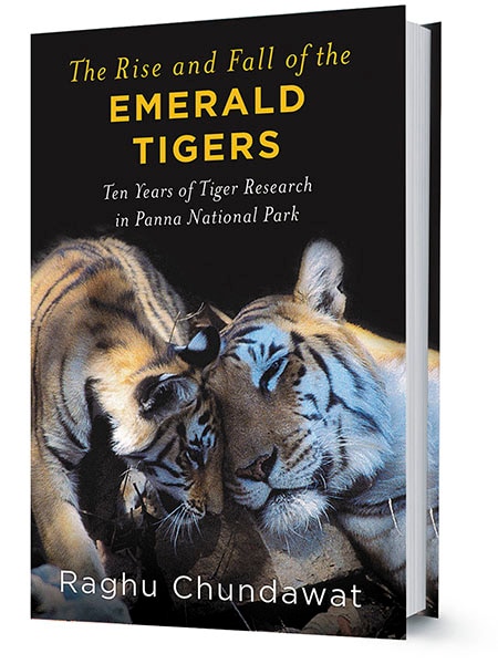g_102415_emeralad_tigers_280x210.jpg g_102415_emeralad_tigers_280x210.jpg