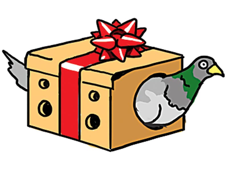 g_102457_dove_280x210.jpg g_102457_dove_280x210.jpg