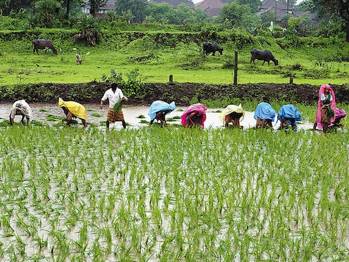 Forbes India Forbes India Image