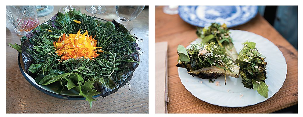 g_110393_gro_spiseri_280x210.jpg g_110393_gro_spiseri_280x210.jpg