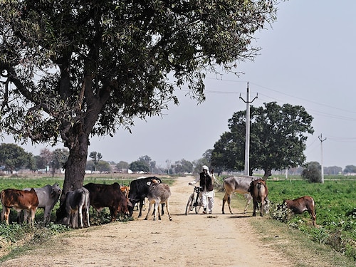 Forbes India Image