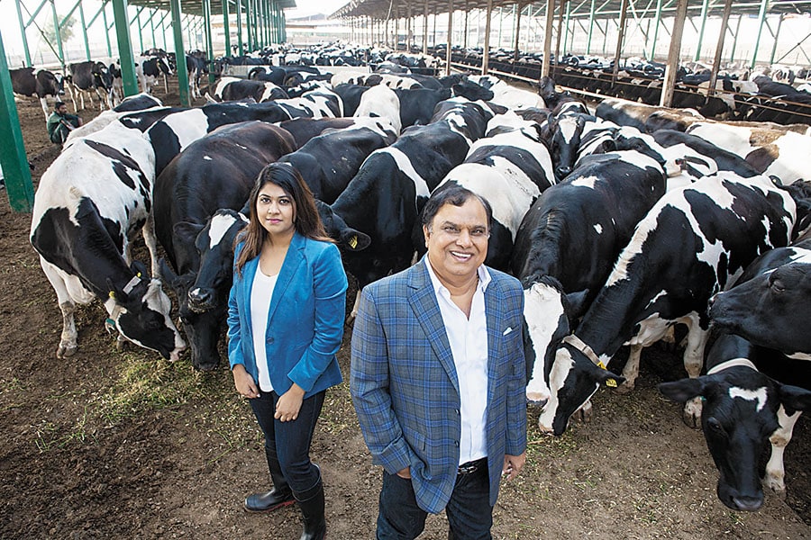g_115235_parag_milk_food_280x210.jpg g_115235_parag_milk_food_280x210.jpg