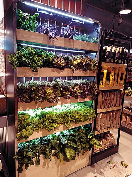 g_118541_lineshucgfarms_280x210.jpg g_118541_lineshucgfarms_280x210.jpg