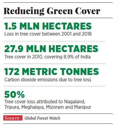 g_117203_reducing_green_cover_280x210.jpg g_117203_reducing_green_cover_280x210.jpg