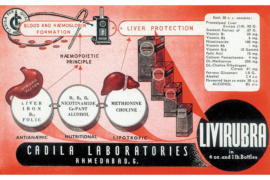 g_123723_livirubra_280x210.jpg g_123723_livirubra_280x210.jpg