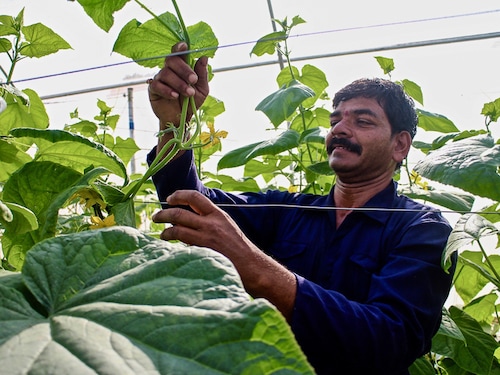 Forbes India Image