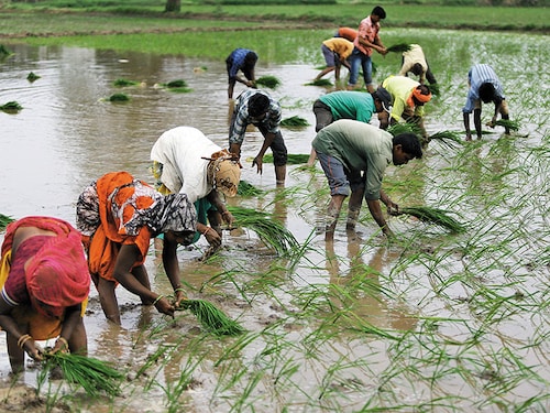 Forbes India Forbes India Image