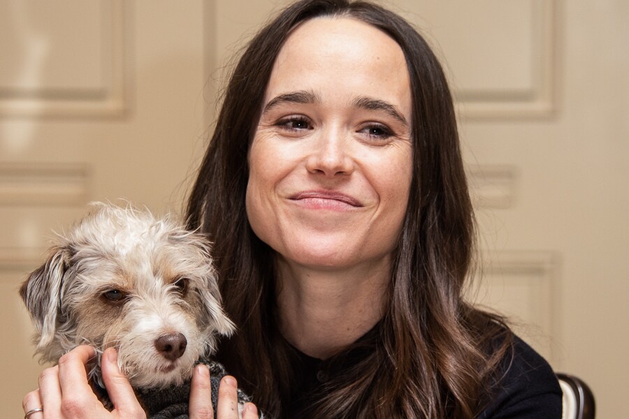 ellen page_gettyimages-1125560692_bg ellen page_gettyimages-1125560692_bg