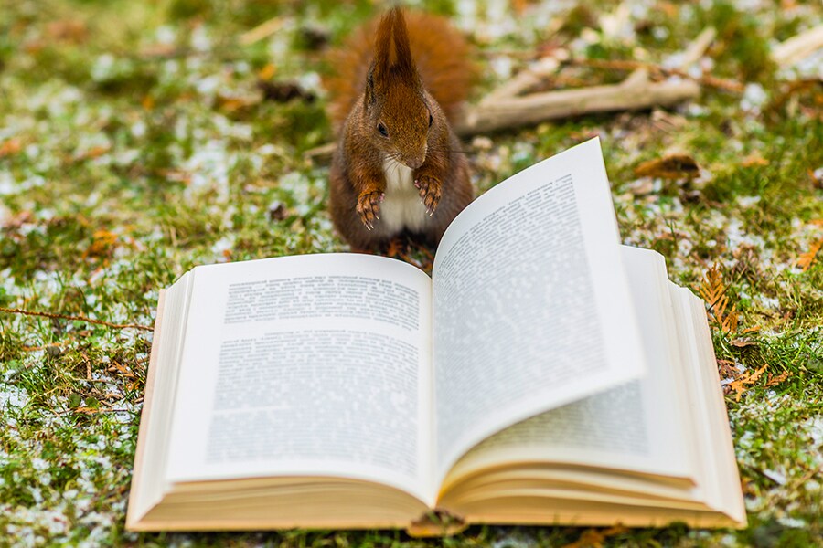 reading_4th dec_bg reading_4th dec_bg