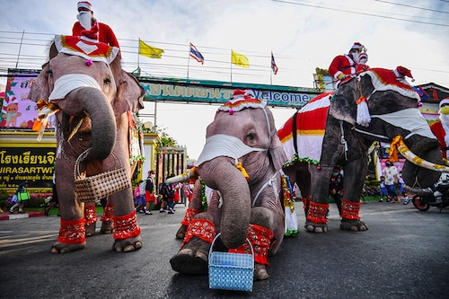 Mahouts dress elephants as Santa Claus to help distribute face masks to students, in an effort to help prevent the spread of the coronavirus disease (COVID-19), ahead of Christmas celebrations at a school in Ayutthaya, Thailand, December 23, 2020.