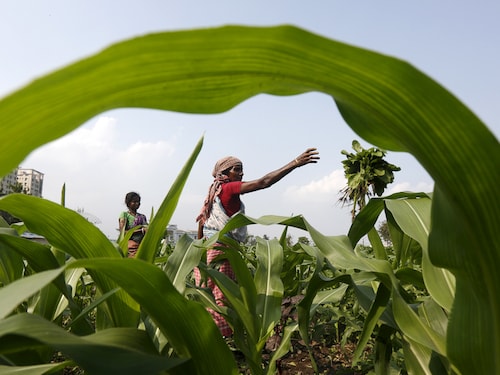 Forbes India Forbes India Image