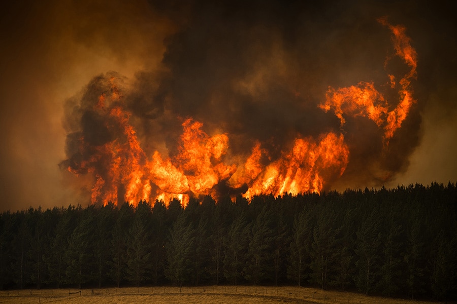 g_126395_bg_australiafires11_280x210.jpg g_126395_bg_australiafires11_280x210.jpg