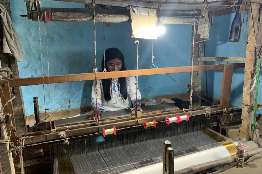 anandmayee 900x600px anandmayee 900x600px