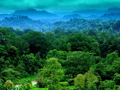 Forbes India Forbes India Image