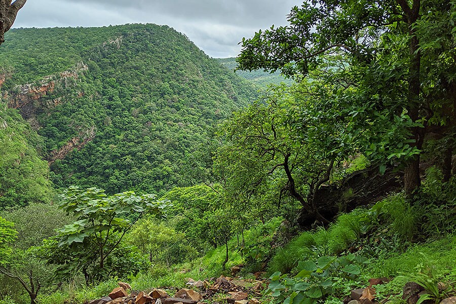 environment environment