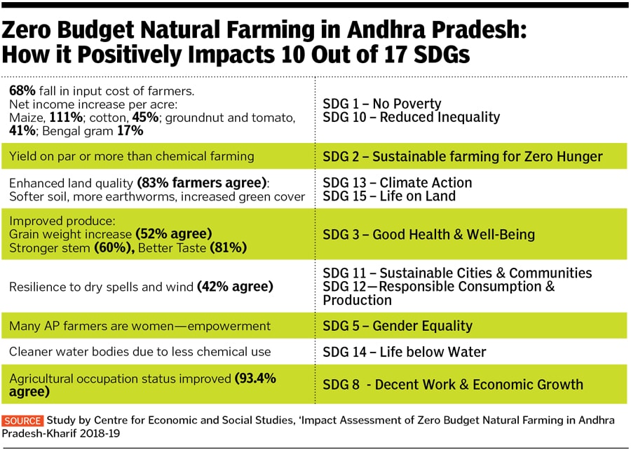sdg4 sdg4