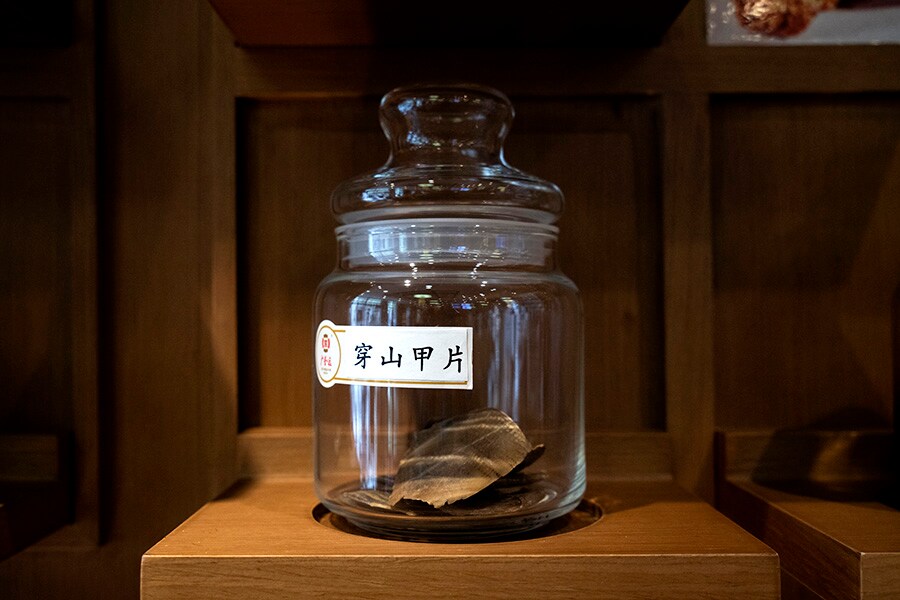 china virus wildlife 3_bg