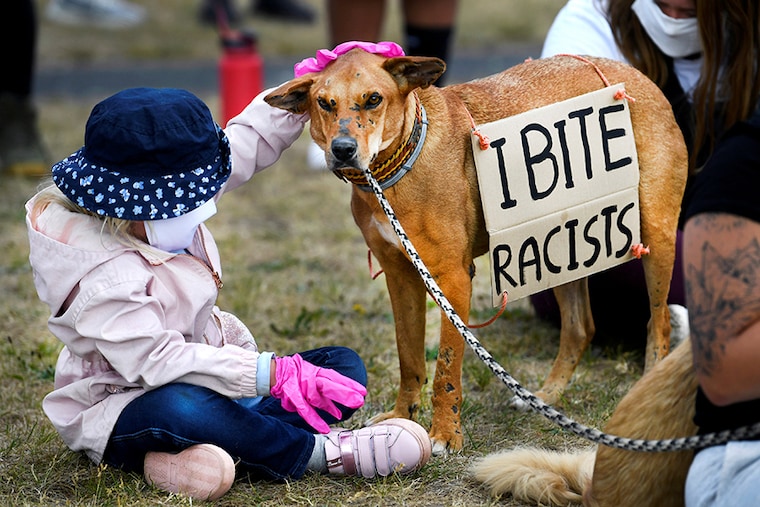 A child pets a dog with a placard attached to it during a protest against the death in Minneapolis police custody of George Floyd, in Maastricht, Netherlands June 7, 2020.