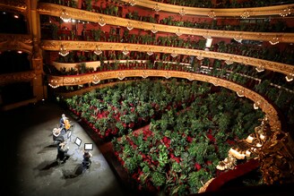 Nursery plants are seen placed in people"s seats during a rehearsal as Barcelona"s Gran Teatre del Liceu opera reopens its doors with a concert for plants to raise awareness about the importance of an audience after the lockdown, amid the coronavirus disease (COVID-19) outbreak, in Barcelona, Spain June 22, 2020.