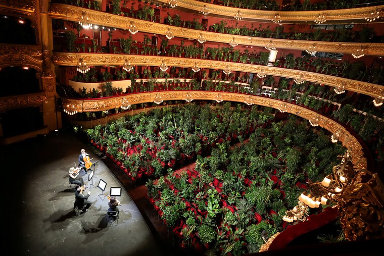 Nursery plants are seen placed in people"s seats during a rehearsal as Barcelona"s Gran Teatre del Liceu opera reopens its doors with a concert for plants to raise awareness about the importance of an audience after the lockdown, amid the coronavirus disease (COVID-19) outbreak, in Barcelona, Spain June 22, 2020.