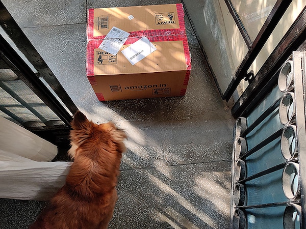 The pandemic is forcing customers to change consumption habits, leading to a surge in online ordersImage: Madhu Kapparath