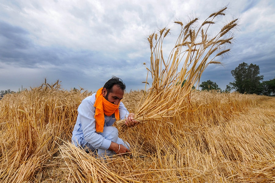 farmer_gettyimages_bg farmer_gettyimages_bg