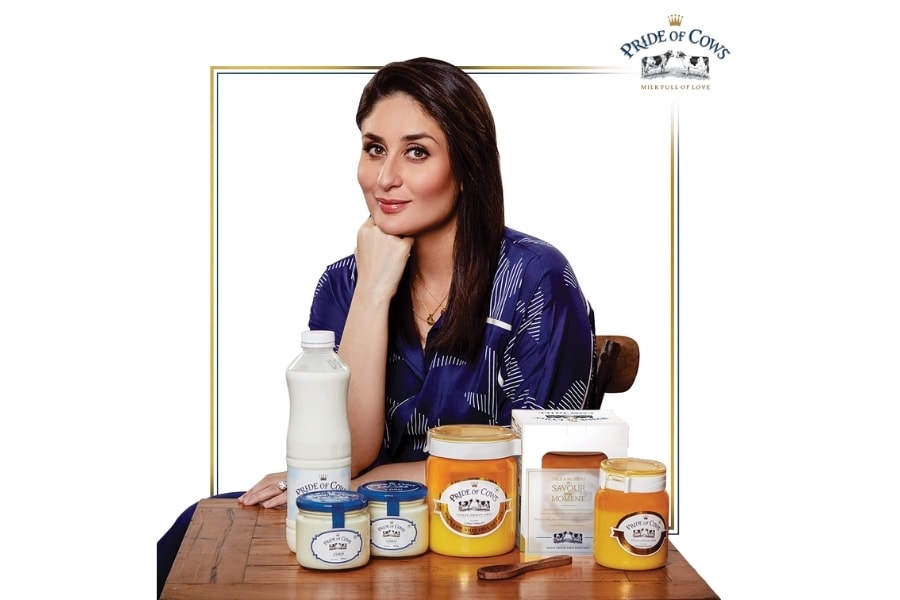 pride of cows 900x600 pride of cows 900x600