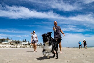 A dog and its owners exercising along Henley beach on November 20, 2020 in Adelaide, Australia. South Australian premier Steven Marshall has eased lockdown restrictions across the state, after initially imposing a strict six day lockdown on Thursday following an outbreak of COVID-19 in the community. Effective today, restrictions have eased to allow people to leave their homes for exercise, and as of midnight on Saturday current stay at home orders will be repealed.